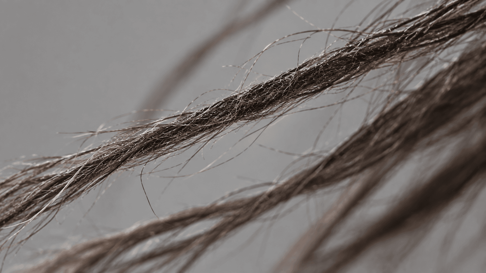 Hair texture